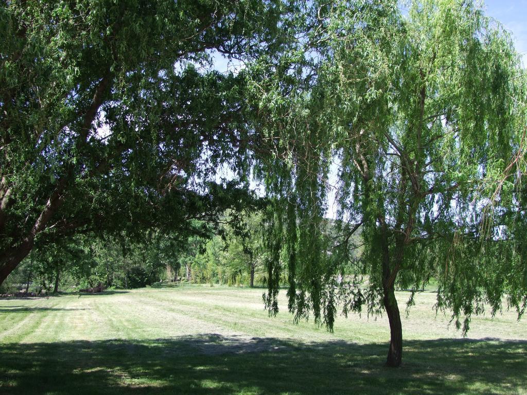 La Magnanerie D'Hotes ,Le Jardin Secret Sauve Exteriér fotografie